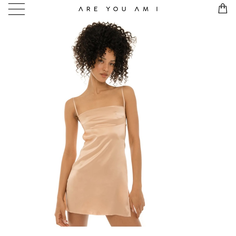 are you am i silk dress